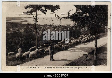 Normandie, Calvados (14), Houlgate : troupeau de moutons sur la route de Villers et vue sur Houlgate - carte postale fin 19eme-debut 20eme siecle Banque D'Images