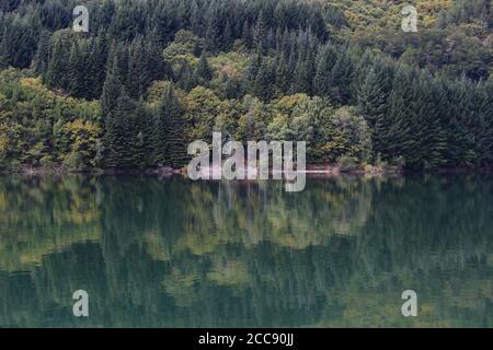 Les arbres se reflètent dans l'eau calme du lac artificiel de Villefort, un matin d'été (Lozère, France) Banque D'Images