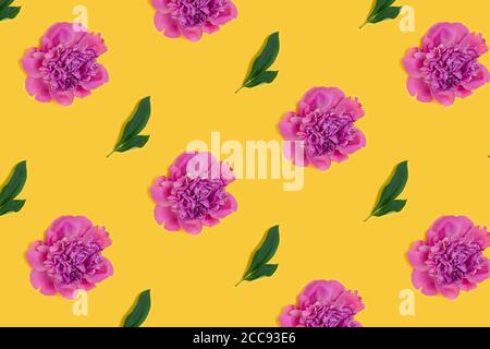 Les bourgeons de fleurs de pivoine et de feuilles vertes sont motifs sur fond jaune. Composition créative. Banque D'Images
