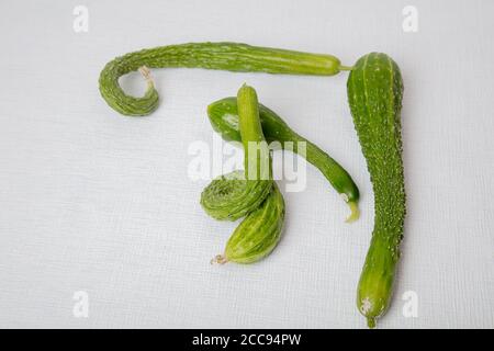 Longs concombres frais, tordus, sur fond blanc. Photo de haute qualité Banque D'Images