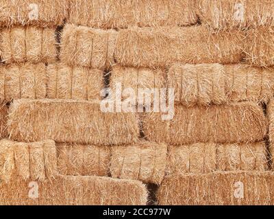 Des piles de la paille sèche. Les meules de paille empilées. La paille sèche naturelle texture background. Banque D'Images