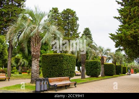 BATUMI, GÉORGIE - 08 JUILLET 2020 : plage de la mer Noire de Batumi, palmiers et parc. Banque D'Images