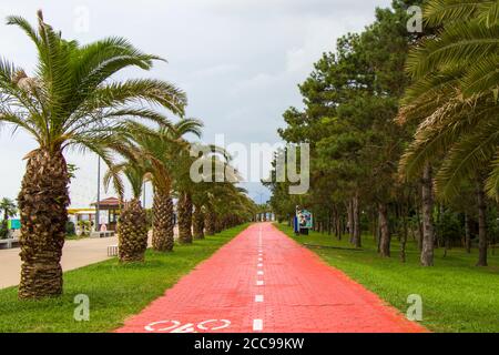 BATUMI, GÉORGIE - 08 JUILLET 2020 : plage de la mer Noire de Batumi, palmiers et parc. Banque D'Images