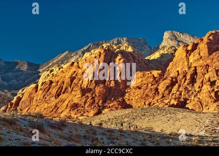 Touristes aux rochers de grès de Calico Hills, coucher de soleil, région de Red Rock Canyon dans le désert de Mojave près de Las Vegas, Nevada, Etats-Unis Banque D'Images