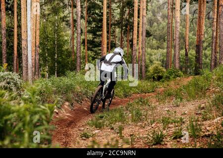 dos descente montagne rider sur le sentier dans la forêt de pins Banque D'Images
