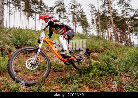 Vélo de montagne sur piste forestière. Compétition DH Banque D'Images