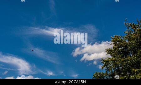 Harrogate, North Yorkshire, Royaume-Uni. 15 août 2020. Cerfs-volants rouges volant contre le ciel bleu au-dessus de Harewood House près de Harrogate. Credit: ernesto rogata/Alay Live News Banque D'Images