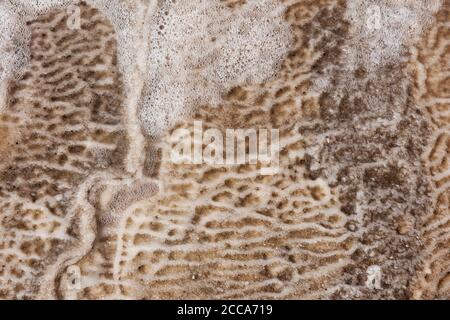 Fond de roche salée, eau de mer et sel. Fond d'eau. Texture et motif de l'eau Banque D'Images