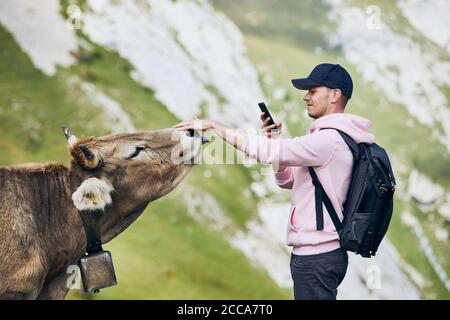 Jeune homme photographiant la vache suisse contre la montagne. Mont Pilatus, Lucerne, Suisse. Banque D'Images