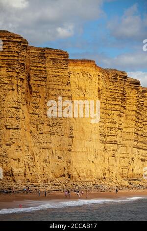 La plage et les falaises de West Bay Dorset, durant l'été 2020 Banque D'Images