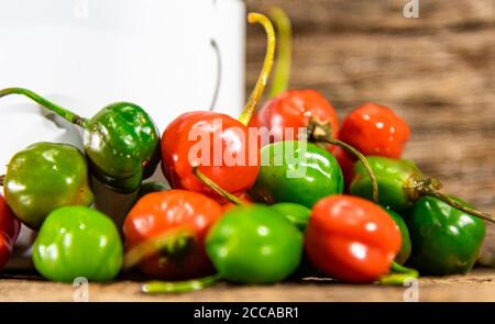 Poivron de chèvre (Capsicum chinense). Poivrons sensés utilisés dans la cuisine brésilienne. Produits utilisés comme épices et assaisonnements. Plante d'origine asiatique. Banque D'Images