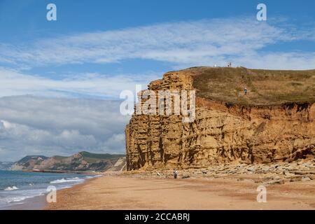 Un marcheur marchant sous les falaises spectaculaires près de Burton Freshwater sur la côte jurassique, Dorset, Angleterre, Royaume-Uni Banque D'Images