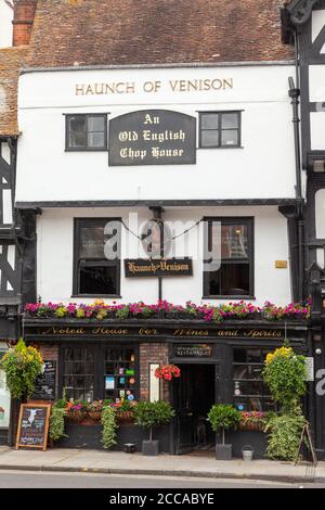 Un avant-duc de Venison dans la ville de Salisbury, dans le Wiltshire, en Angleterre Banque D'Images