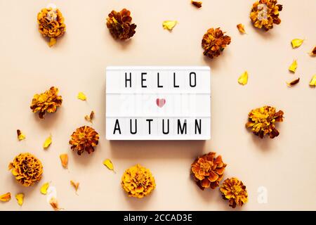 Visionneuse avec texte Hello Autumn sur fond pastel et fleurs d'automne dorées marigolds. Banque D'Images