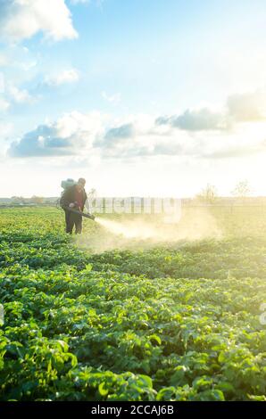 Un agriculteur équipé d'un pulvérisateur à brouillard transforme la plantation de pommes de terre. Protection et soin. Utilisation de produits chimiques industriels pour protéger les cultures contre les insectes et Banque D'Images