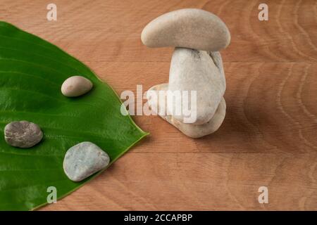Feuilles vertes, hôtes de chaussée et pierres de divers Velecheny, sur le fond d'une planche en bois Banque D'Images