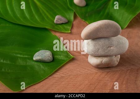 Feuilles vertes, hôtes de chaussée et pierres de divers Velecheny, sur le fond d'une planche en bois Banque D'Images