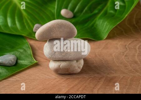 Feuilles vertes, hôtes de chaussée et pierres de divers Velecheny, sur le fond d'une planche en bois Banque D'Images