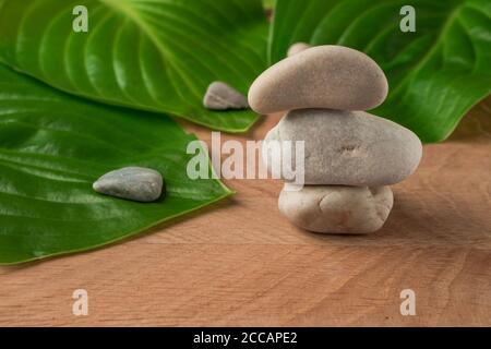 Feuilles vertes, hôtes de chaussée et pierres de divers Velecheny, sur le fond d'une planche en bois Banque D'Images