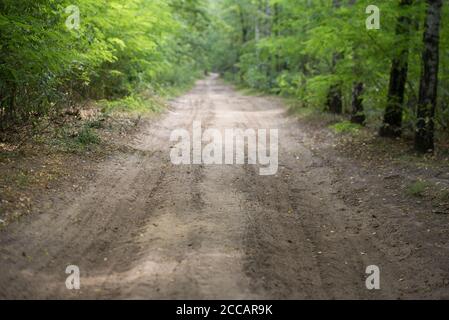 route de campagne en forêt d'été sélectif foyer Banque D'Images