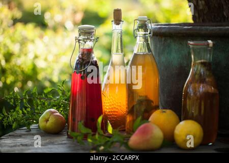 Kombucha deuxième thé aux fruits fermentés avec différents arômes. Boisson naturelle saine aromatisée aux probiotiques Banque D'Images