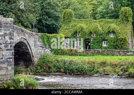 Tu Hwnt i'r Bont, un bâtiment classé de catégorie II du XVe siècle à Llanrwst, Conwy, au nord du pays de Galles, au Royaume-Uni, qui est géré comme une salle de thé par le National Trust. Banque D'Images