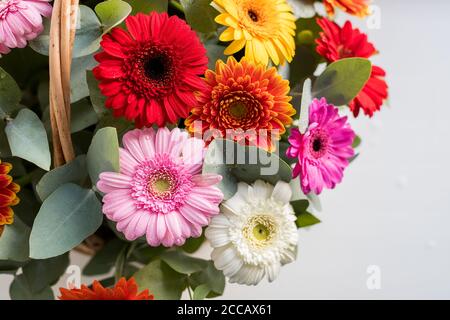 Bouquet de fleurs, camomille, Marguerite, gerbera, bouquet d'été délicat isolé sur fond blanc. Fleurs gerbera brillantes en panier, comme présent, pour Banque D'Images