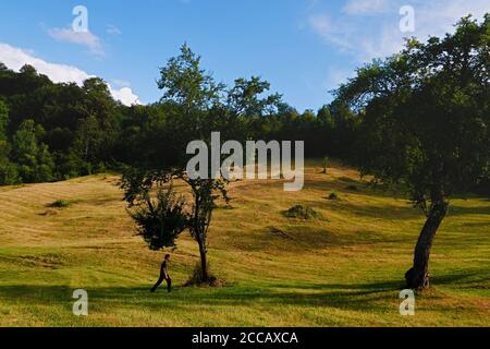 Marche dans la nature au coucher du soleil à Maramures, Roumanie Banque D'Images