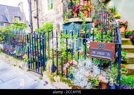 Édimbourg Écosse 6 août 2020 belles fleurs à l'extérieur d'une maison sur Circus place à Édimbourg, Écosse Banque D'Images