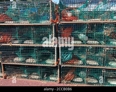 Des pièges à homard de différentes couleurs le long d'un quai du Canada atlantique, dans la baie de Fundy, au Nouveau-Brunswick Banque D'Images