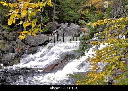 Automne dans les montagnes blanches. Vue panoramique sur les chutes Georgiana le long de la section fluide du ruisseau Harvard depuis le sentier de randonnée de North Woodstock. Banque D'Images