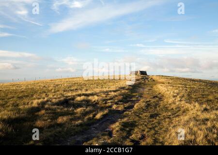 La Pennine Way menant au sommet de Great Shunner Fell, Yorkshire Dales, Royaume-Uni Banque D'Images