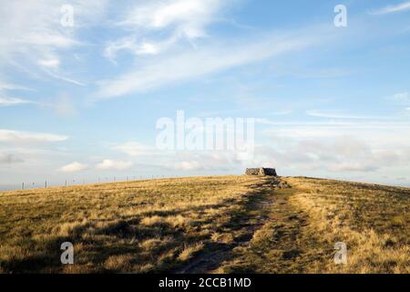 La Pennine Way menant au sommet de Great Shunner Fell, Yorkshire Dales, Royaume-Uni Banque D'Images