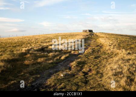 La Pennine Way menant au sommet de Great Shunner Fell, Yorkshire Dales, Royaume-Uni Banque D'Images