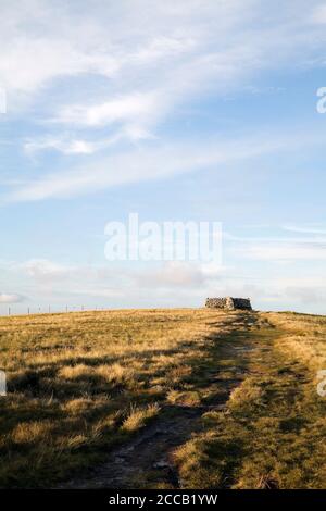 La Pennine Way menant au sommet de Great Shunner Fell, Yorkshire Dales, Royaume-Uni Banque D'Images