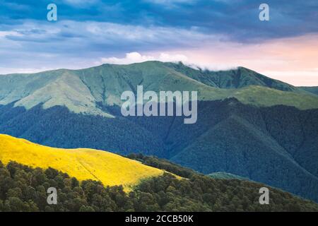 Paysage estival pittoresque dans les montagnes carpathes. Collines verdoyantes, forêt et prairies jaunes dans la fantastique lumière du soleil du soir Banque D'Images