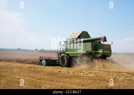 Récolte de blé en champ d'automne. Une moissonneuse-batteuse verte moderne qui fonctionne Banque D'Images