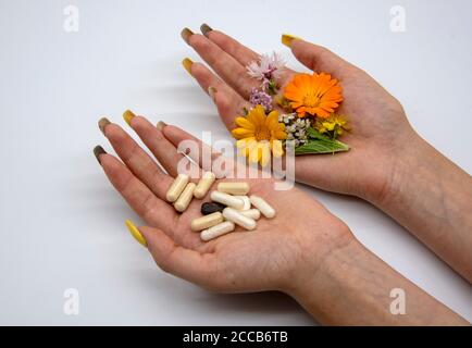 Deux mains de femme sur un arrière-plan léger. Dans une main, les capsules et les comprimés, dans les autres herbes médicinales. Banque D'Images