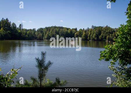 Réservoir Ottenstein, Kamptal-Seenweg 620, randonnée près du réservoir Dobra, Waldviertel, Autriche Banque D'Images