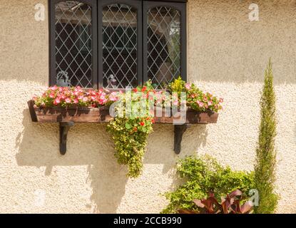 Gros plan d'une boîte de fenêtre pleine de fleurs dans été sous la fenêtre d'un chalet de campagne Banque D'Images