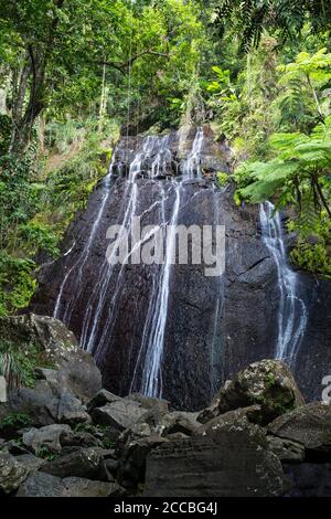 La Coca Falls dans la forêt tropicale nationale El Yunque à Porto Rico. Banque D'Images