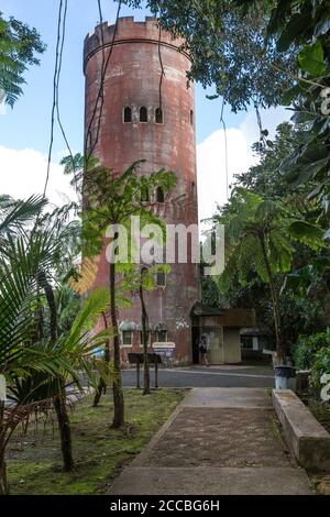 La tour d'observation de Yokahu de 75 mètres de haut dans la forêt nationale d'El Yunque, Porto Rico. Banque D'Images