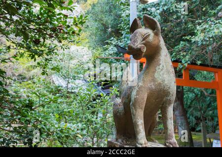 Kyoto, Japon - Statue du renard gardien au sanctuaire d'Otoyo à Kyoto, Japon. Le Sanctuaire a été construit en 887. Banque D'Images