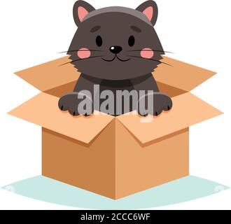 Adoptez un animal de compagnie - chat mignon dans une boîte, isolé sur fond blanc Illustration de Vecteur