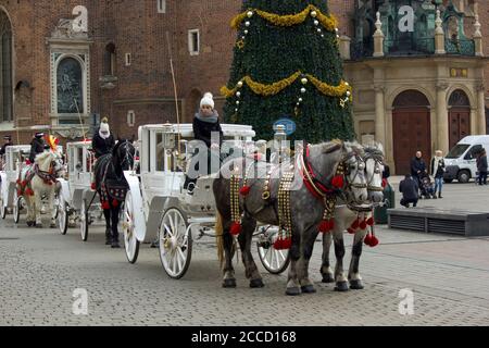 Cracovie, Pologne - 23 décembre 2014: File d'attente de calèche pour les touristes pendant les vacances de la veille de noël en hiver au centre-ville place principale beufor Banque D'Images
