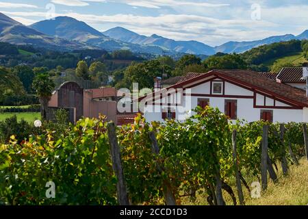 Ispoure (sud-ouest de la France) : vue d'ensemble des maisons basques typiques, des vignobles, du terrain de pelote basque et des montagnes Banque D'Images