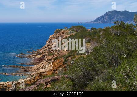 Saint-Mandrier-sur-Mer (sud-est de la France) : sentier côtier le long de la mer Méditerranée, presqu'île de Saint-Mandrier, port naturel de Toulon *** Lo Banque D'Images