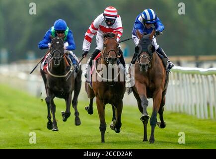 Jim Crowley à bord d'Alfaatik (à droite) sur le chemin de gagner le Sky Bet handicap pendant la troisième journée du Yorkshire Ebor Festival à l'hippodrome de York. Banque D'Images