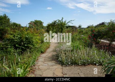 Un magnifique jardin d'été clos bordure de fleurs exposition comprenant de diverses plantes à fleurs, East Yorkshire Angleterre, Royaume-Uni, GB, Banque D'Images