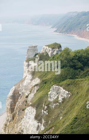 Une vue vers le sud le long de la côte du Devon, des falaises de Hooken à Branscombe. Banque D'Images